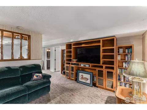 215 Laurel Ct, Windsor, CO 80550 photo 17