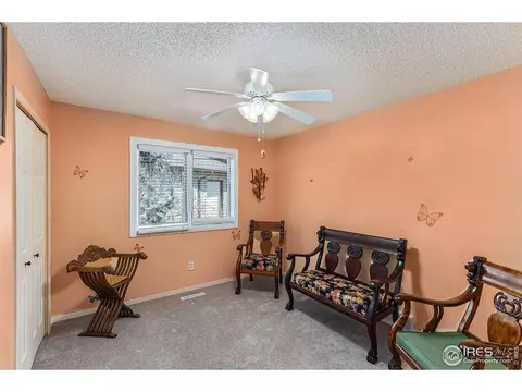 215 Laurel Ct, Windsor, CO 80550 photo 14