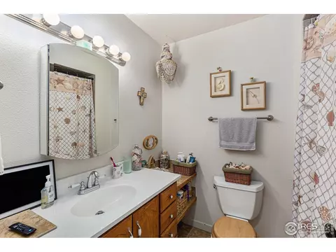 215 Laurel Ct, Windsor, CO 80550 photo 7