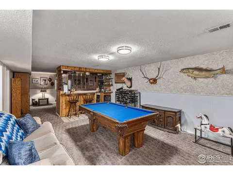 215 Laurel Ct, Windsor, CO 80550 photo 12