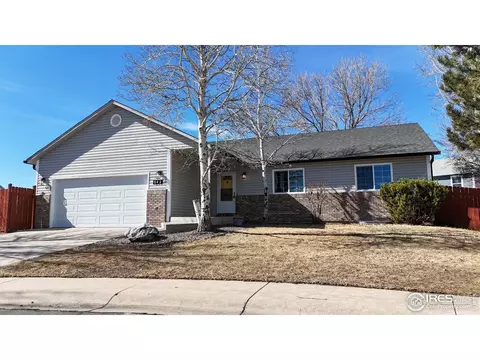 542 Springwood Ct, Windsor, CO 80550 photo 2