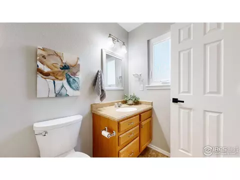 542 Springwood Ct, Windsor, CO 80550 photo 22