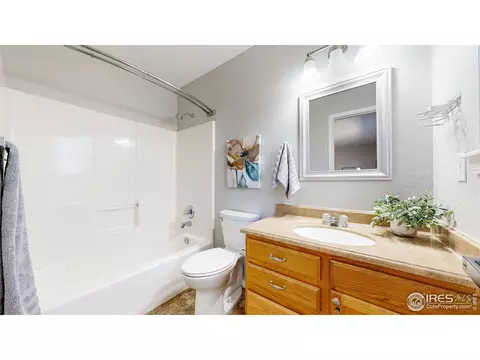 542 Springwood Ct, Windsor, CO 80550 photo 21