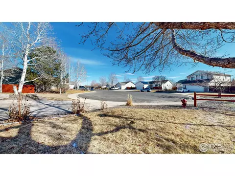 542 Springwood Ct, Windsor, CO 80550 photo 32