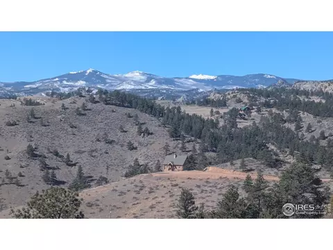 397 Castle Mountain Dr, Livermore, CO 80536