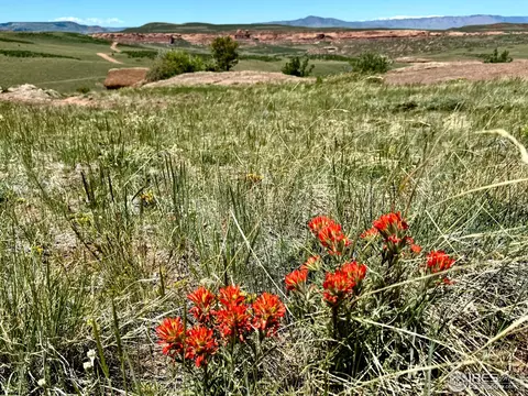 500 Bridge Rd, Red Feather Lakes, CO 80545