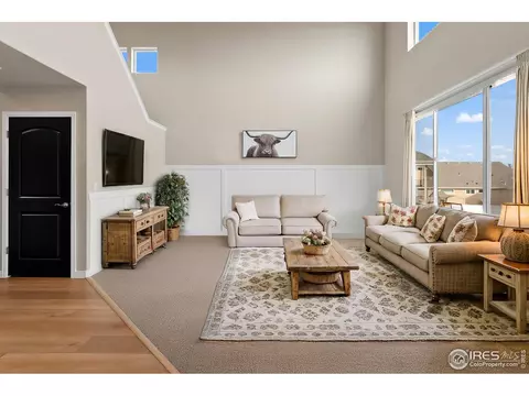 906 Mt Shavano Ave, Windsor, CO 80550