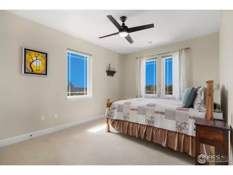 37159 Dickerson Run, Severance, CO 80550 photo 26