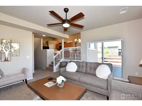 402 Halcyon Way, Windsor, CO 80550 photo 27
