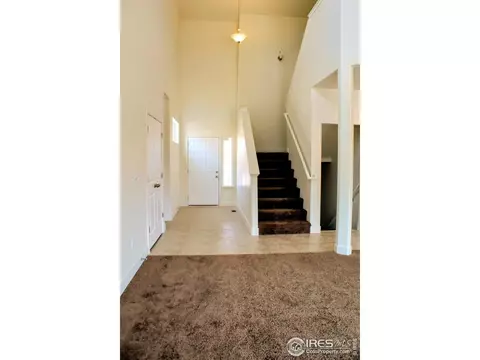 396 Halcyon Way, Windsor, CO 80550 photo 11