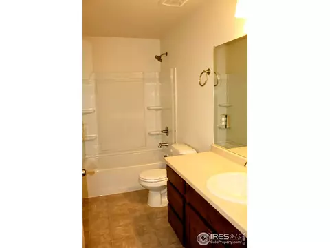 396 Halcyon Way, Windsor, CO 80550 photo 19