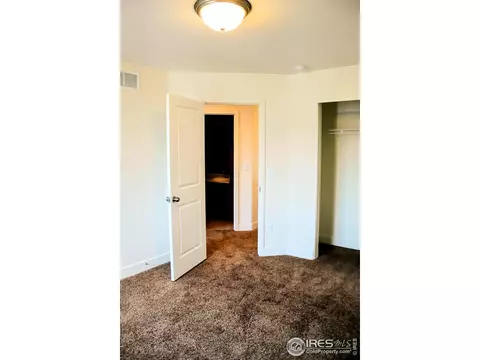 396 Halcyon Way, Windsor, CO 80550 photo 22