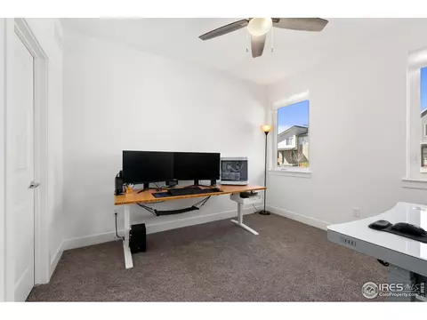 4900 Brule Dr, Timnath, CO 80547 photo 15