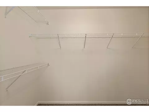 1054 Kendalbrook Dr, Windsor, CO 80550 photo 19