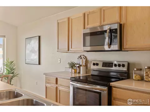 1054 Kendalbrook Dr, Windsor, CO 80550 photo 14