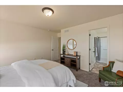 1054 Kendalbrook Dr, Windsor, CO 80550 photo 17