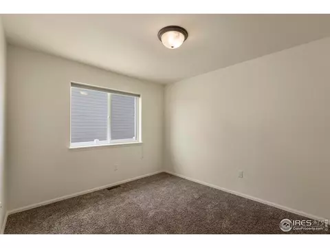 1054 Kendalbrook Dr, Windsor, CO 80550 photo 21