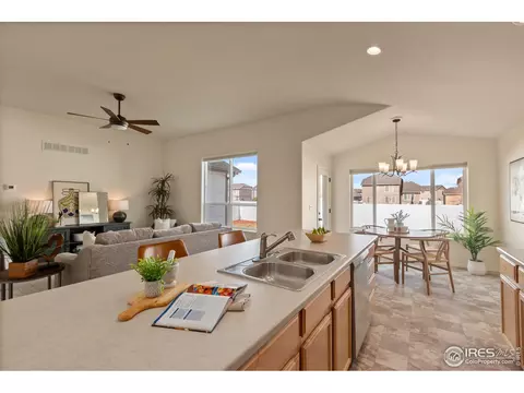 1054 Kendalbrook Dr, Windsor, CO 80550 photo 15
