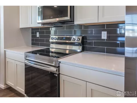 2106 Falling Leaf Dr #8, Windsor, CO 80550 photo 20