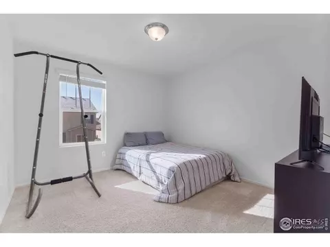 1807 Hydrangea Dr, Windsor, CO 80550 photo 20