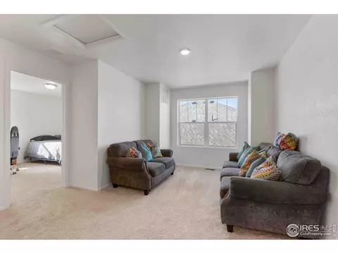 1807 Hydrangea Dr, Windsor, CO 80550 photo 13