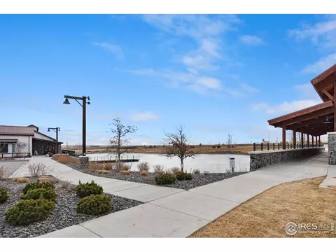 1807 Hydrangea Dr, Windsor, CO 80550 photo 30