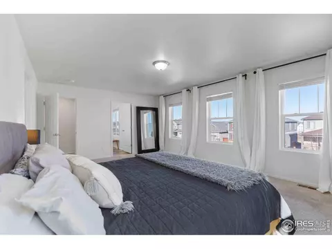 1807 Hydrangea Dr, Windsor, CO 80550 photo 15