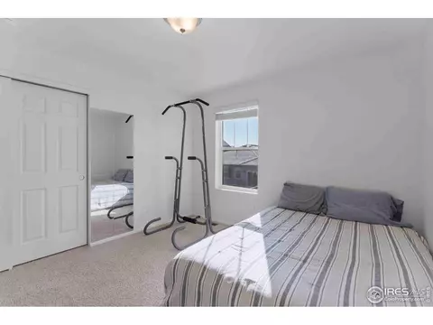 1807 Hydrangea Dr, Windsor, CO 80550 photo 19