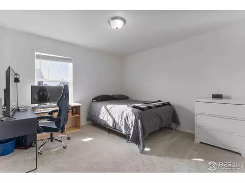 1807 Hydrangea Dr, Windsor, CO 80550 photo 18