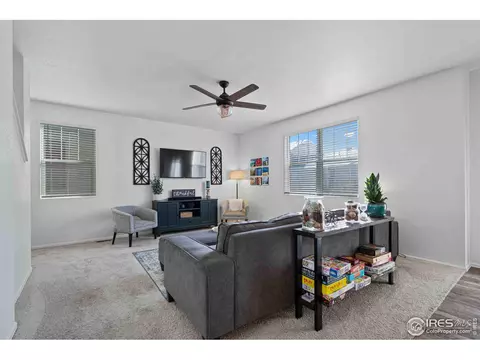 1807 Hydrangea Dr, Windsor, CO 80550 photo 11