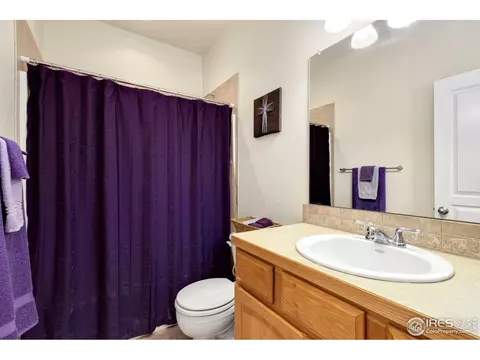 175 Redcloud Ave, Berthoud, CO 80513 photo 15