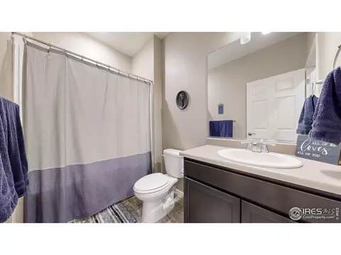 1756 Floret Dr, Windsor, CO 80550 photo 15