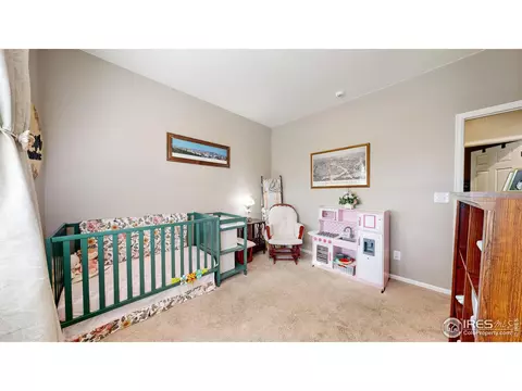 1756 Floret Dr, Windsor, CO 80550 photo 13