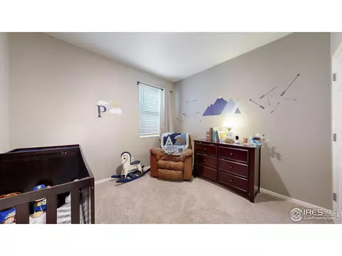 1756 Floret Dr, Windsor, CO 80550 photo 16