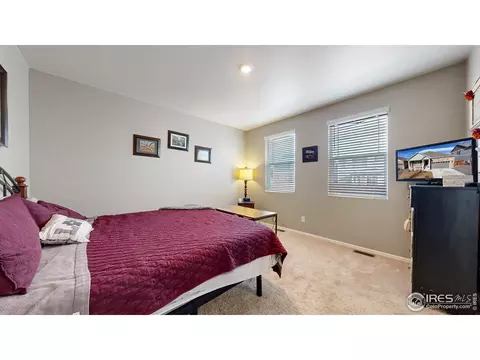 1756 Floret Dr, Windsor, CO 80550 photo 9