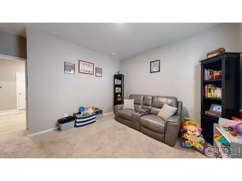 1756 Floret Dr, Windsor, CO 80550 photo 17