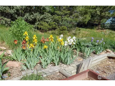 1947 Poplar Ln, Boulder, CO 80304 photo 39
