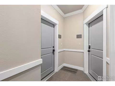 6556 Crystal Downs Dr #201, Windsor, CO 80550 photo 7