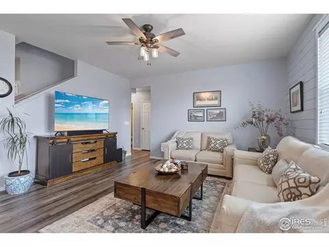 516 Buckrake St, Severance, CO 80550 photo 7