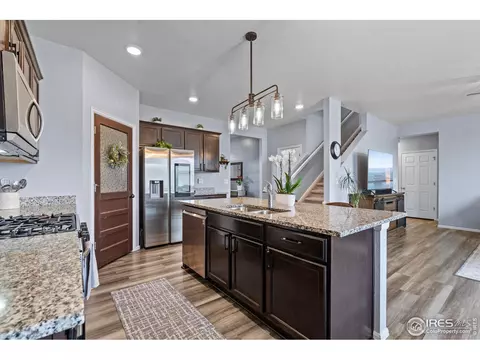 516 Buckrake St, Severance, CO 80550 photo 12