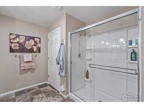 516 Buckrake St, Severance, CO 80550 photo 23