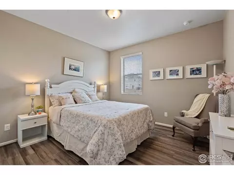 516 Buckrake St, Severance, CO 80550 photo 17