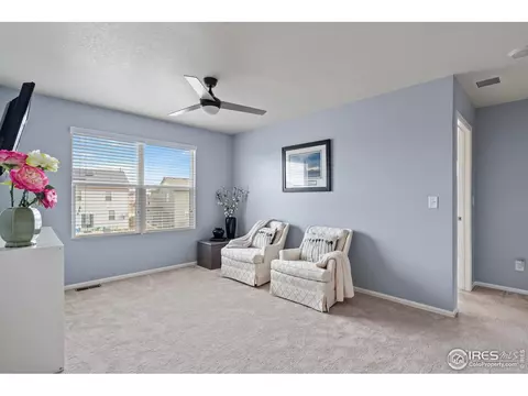 516 Buckrake St, Severance, CO 80550 photo 27