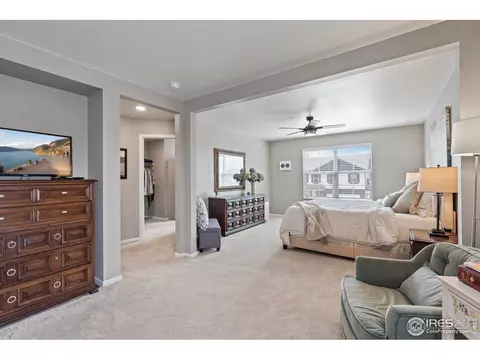 516 Buckrake St, Severance, CO 80550 photo 21