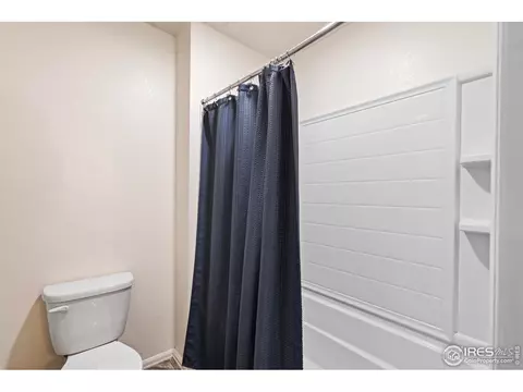 516 Buckrake St, Severance, CO 80550 photo 31