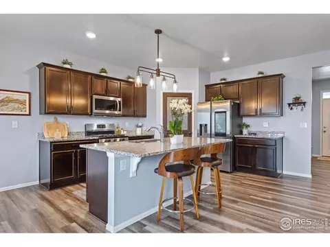 516 Buckrake St, Severance, CO 80550 photo 10