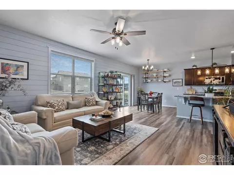 516 Buckrake St, Severance, CO 80550 photo 9