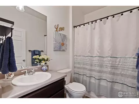 516 Buckrake St, Severance, CO 80550 photo 18
