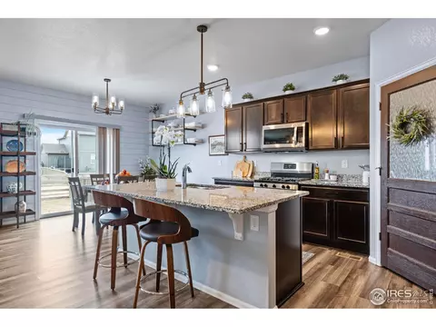 516 Buckrake St, Severance, CO 80550 photo 11