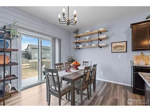 516 Buckrake St, Severance, CO 80550 photo 15